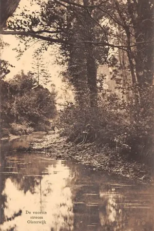 Tylko dziś Oisterwijk De voorste stroom 1913 HC7115