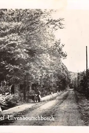 Ulvenhout Kerkdreef Ulvenhoutschbosch HC15268 Promocja