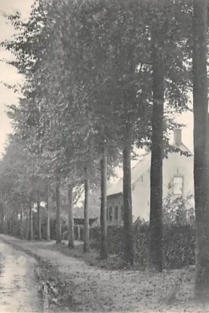 Premium Riel Goirlesche weg 1919 Tramspoor Bij Tilburg HC5390