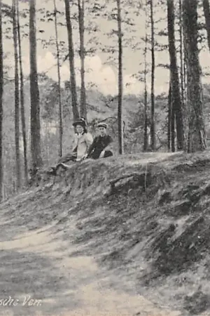 Tani Oisterwijk Weg naar het van Essche Ven 1909 HC5004