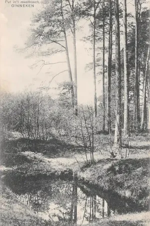 Ginneken bij Breda Put in 't Mastbosch 1910 HC4993 Wysoka jakość