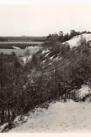 Waalwijk Roestelberg 1946 HC3154 Premium