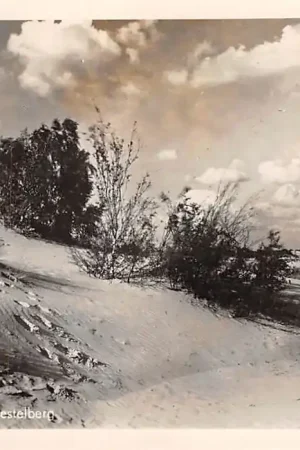 Waalwijk Omgeving Roestelberg 1949 HC3152 Zamów teraz