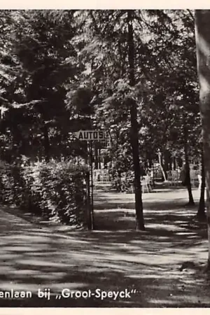 Oryginalny Oisterwijk Van Tienhovenlaan bij Groot-Speyck 1949 HC3142