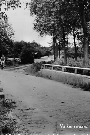 Darmowa dostawa Valkenswaard Naar de Staatsbossen HC902