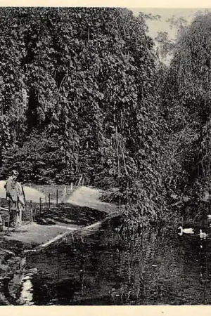 Breda Valkenberg 1934 HC3119 Darmowa dostawa