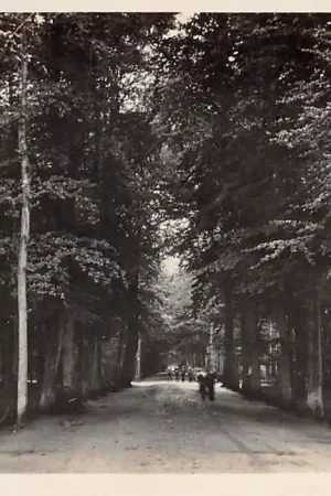 Haarlem Den Hout 1935 HC2867 Najlepsza cena