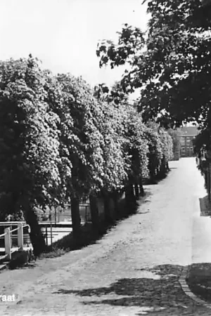 Szybka dostawa Willemstad Achterstraat HC2021