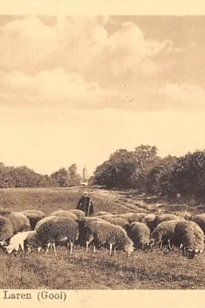 Laren (NH) Schaapherder met schapen Huiswaarts 1915 HC59671 Bezpieczna płatność