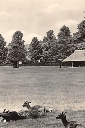 Wysoka jakość Laren (NH) Gooi Hertenkamp 1960 HC59670