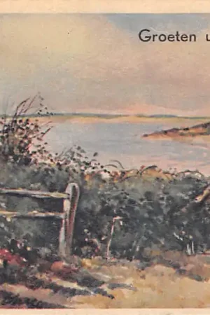 Kup teraz Bergen (NH) Duinlandschappen Groet uit 1948 HC59357