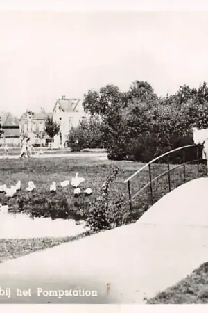 Wyprzedaż Velsen Wandelpark bij het Pompstation 1949 HC56960