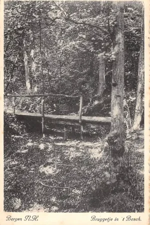 Tylko dziś Bergen (NH) Bruggetje in 't Bosch 1947 HC56751