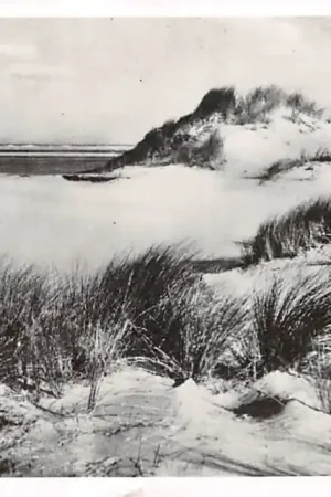 Bezpieczna płatność Texel Duinen bij de Slurfter 1951 HC56409