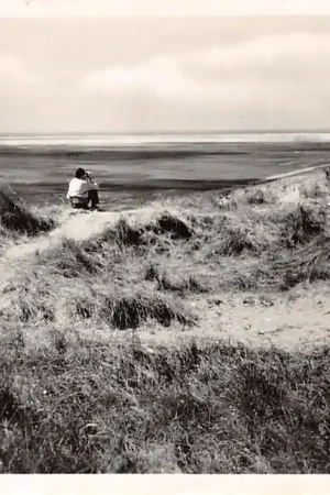 Texel De Slurfter 1955 HC55583 Autentyczny