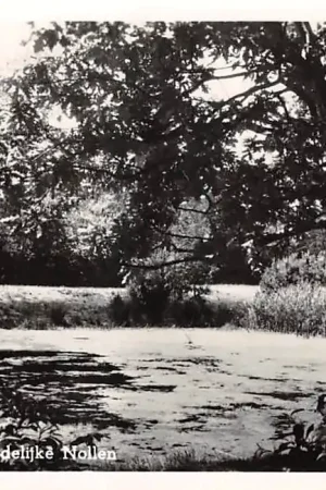 Schoorl Vijver Noordelijke Nollen 1954 HC55569 Premium