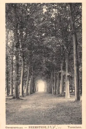 Wysoka jakość Groenendaal Heemstede Torenlaan 1914 HC55565