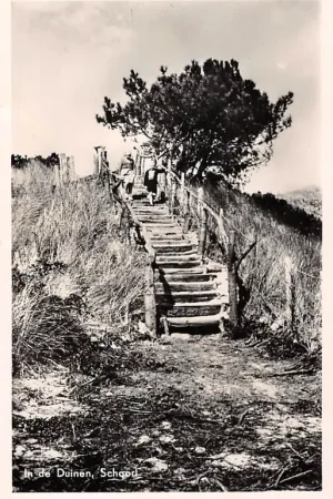 Ekspresowa dostawa Schoorl In de duinen 1953 HC55561