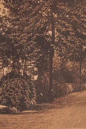 Bussum Koningin Emmalaan 1928 HC55540 Popularny