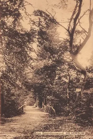 Hilversum Brug Spanderswoud 1924 HC57123 Kup teraz