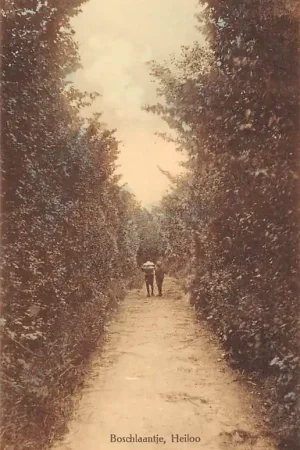 Ostatnia szansa Heiloo Boschlaantje HC55103