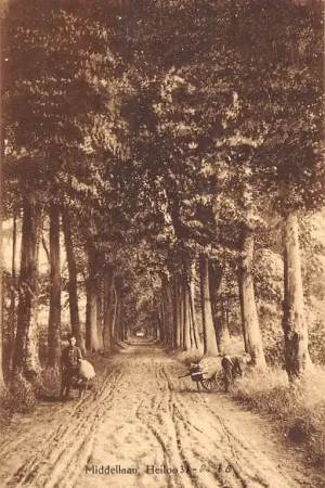 Autentyczny Heiloo Middellaan 1908 HC55102