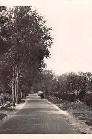 Schoorl Duinweg HC54553 Popularny