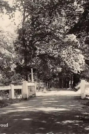 Wysoka jakość Hilversum Spanderswoud 1957 HC54394