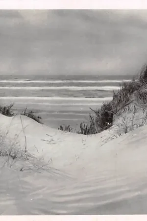 Texel Duinen bij Westerslag HC53733 Promocja