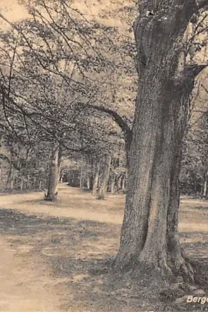 Bergen (NH) Weg naar het Hof 1938 HC53145 Ekspresowa dostawa