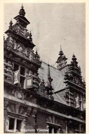 Haarlem Fragment Vleeshal HC52079 Premium