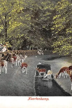 Haarlem Hertenkamp 1904 HC52090 Tylko dziś