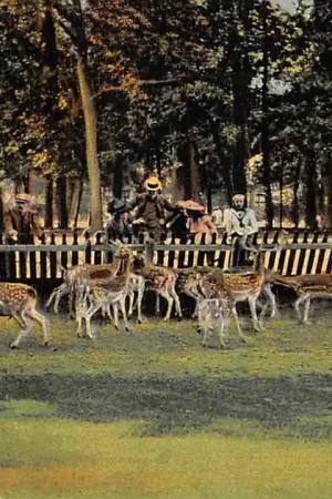 Haarlem Hertenkamp HC52089 Ekspresowa dostawa