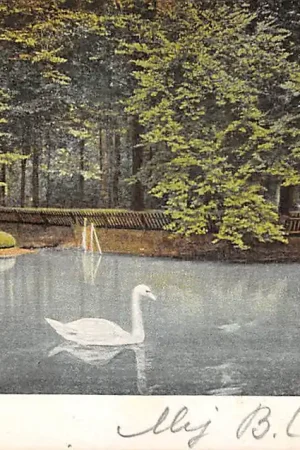 Szybka dostawa Haarlem Haarlemmerhoutpark met Zwaan 1905 HC52088