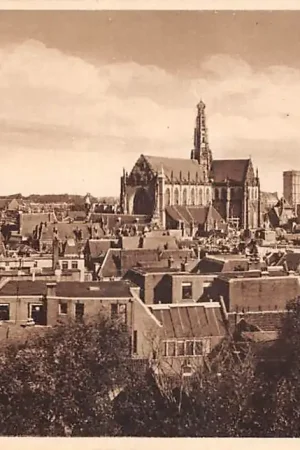 Haarlem Vogelvlucht HC52084 Nowość