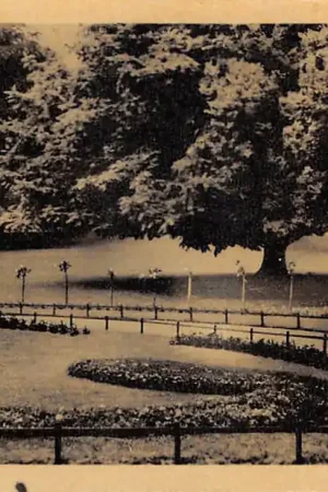 Haarlem Kenaupark 1946 HC52059 Ekspresowa dostawa