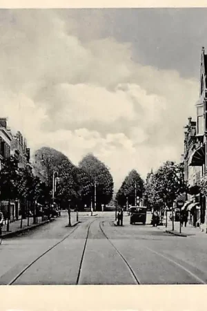 Tani Haarlem Houtplein HC51949