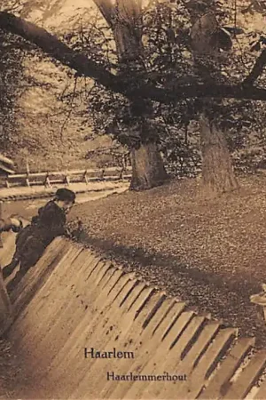 Ostatnia szansa Haarlem Hertenkamp Haarlemmerhout 1910 HC51946
