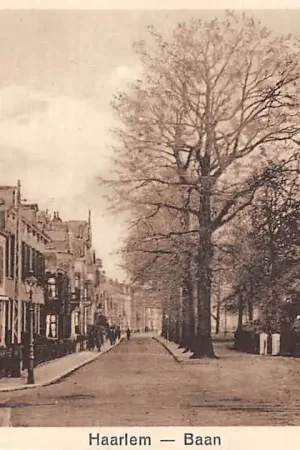 Oryginalny Haarlem Baan HC51938