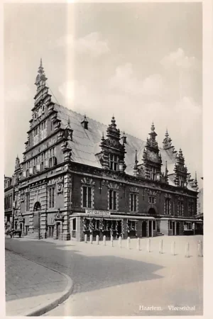 Haarlem Vleesschal HC51924 Darmowa dostawa