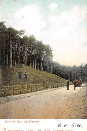 Overveen Duin en Daal Haarlem 1904 HC51722 Oryginalny