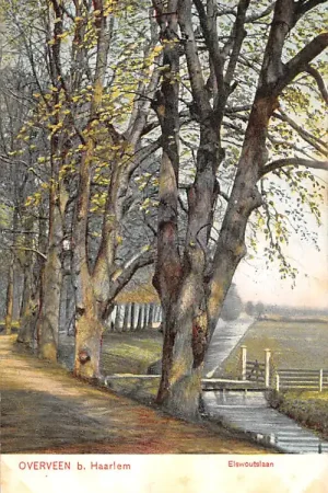 Wyprzedaż Overveen bij Haarlem Elswoutslaan 1905 HC51721