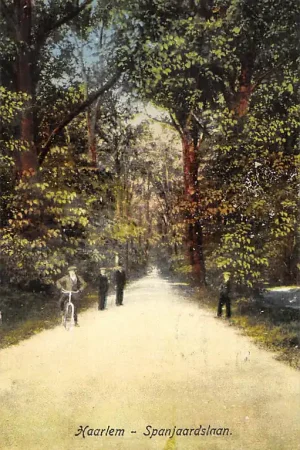 Haarlem Spanjaardslaan 1919 HC51918 Najlepsza cena