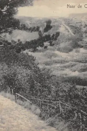 Schoorl Naar de Oriënteertafel 1916 HC51591 Darmowa dostawa