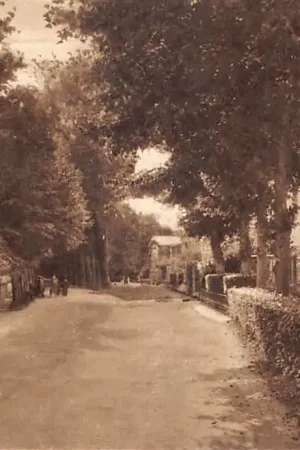 Bergen (NH) Ingang Hoflaan 1930 HC51495 Wyprzedaż