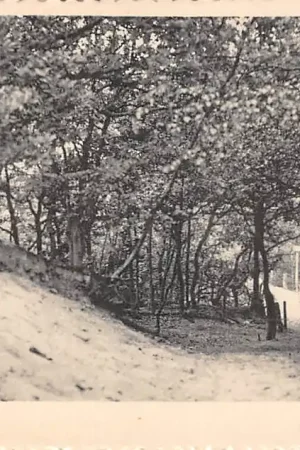 Bergen (NH) Bergerpaadje 1946 HC51494 Darmowa dostawa