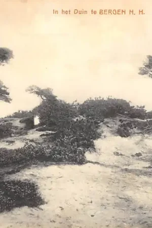 Bergen (NH) In het Duin 1927 HC51493 Rabat