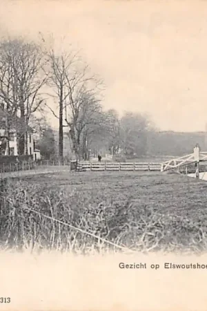 Overveen Gezicht op Elswoutshoek 1905 Bloemendaal Haarlem HC49200 Oferta