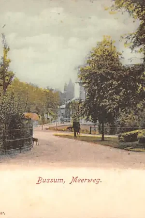 Bussum Meerweg 1903 HC49192 Promocja