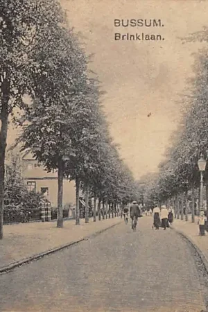 Premium Bussum Brinklaan 1919 Nauta 8523 HC49188
